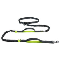 Thumbnail for Reflective Rope Pet Leashes
