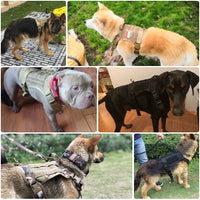 Thumbnail for Nylon Tactical Dog Harness with Handle & Bungee Leash for Large Dogs