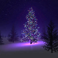 Thumbnail for Colorful Firefly - Solar mini LED Christmas lights on Strings