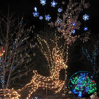 Thumbnail for Colorful Firefly - Solar mini LED Christmas lights on Strings