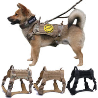 Thumbnail for Nylon Tactical Dog Harness with Handle & Bungee Leash for Large Dogs