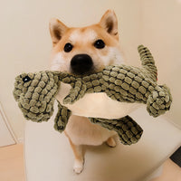 Thumbnail for Dinosaur Dog Toys