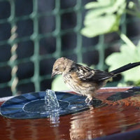 Thumbnail for Mini Solar Water Fountain Pool Pond