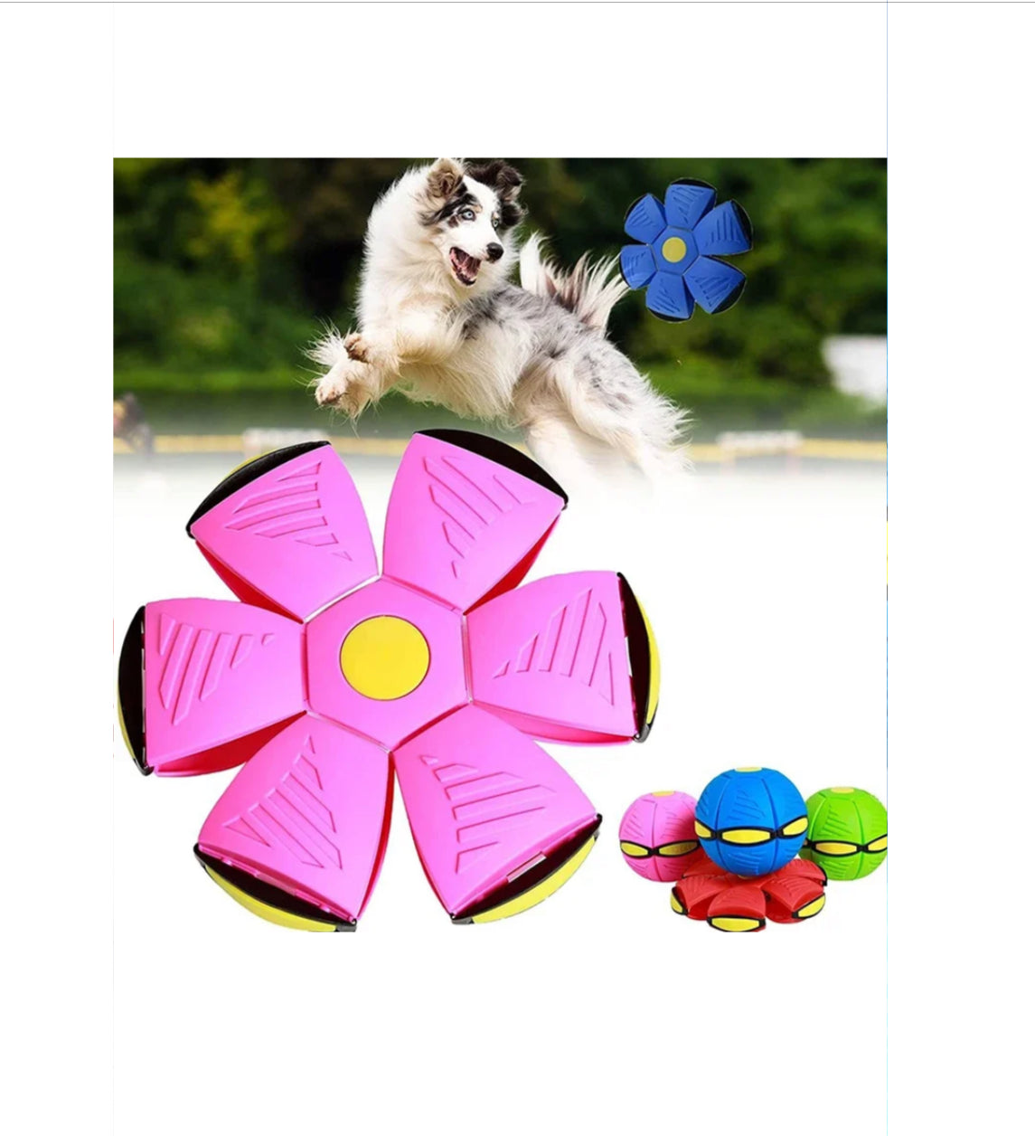 Dog Magic Deformation Flat Throw Disc Ball Pet Supplies