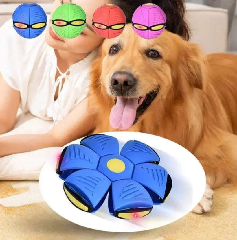 Dog Magic Deformation Flat Throw Disc Ball Pet Supplies