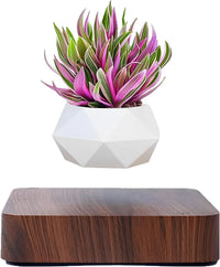 Thumbnail for LeviFlora Floating Plant Pot