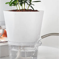 Thumbnail for Automatic Water-Absorbing Flowerpot