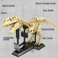 Thumbnail for T-rex Dinosaurs Fossil Building Blocks