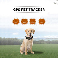 Thumbnail for Pet GPS Tracker Collar