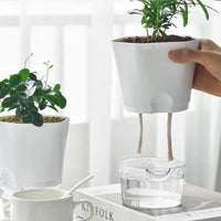 Thumbnail for Automatic Water-Absorbing Flowerpot