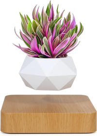 Thumbnail for LeviFlora Floating Plant Pot