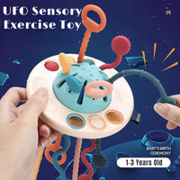 Thumbnail for Sensory Development Baby Toys